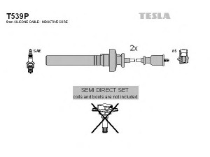 TESLA T539P uždegimo laido komplektas 
 Kibirkšties / kaitinamasis uždegimas -> Uždegimo laidai/jungtys
MD365102