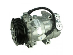 DELPHI TSP0159273 kompresorius, oro kondicionierius 
 Oro kondicionavimas -> Kompresorius/dalys
6453.CL, 6453.JF, 9626902180, 9645306580