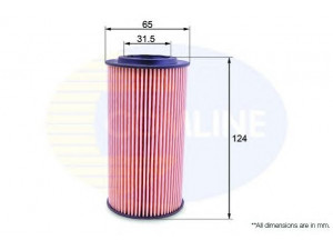 COMLINE EOF173 alyvos filtras 
 Techninės priežiūros dalys -> Techninės priežiūros intervalai
1371199, 1421704, 6G9N-6744-BA