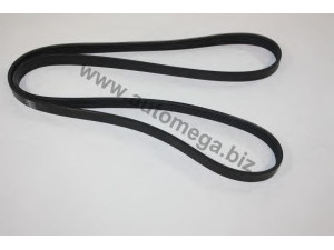 AUTOMEGA 30100360917 V formos rumbuoti diržai
1036917