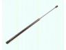 dujinė spyruoklė, bagažinė