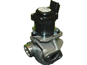 HOFFER 7518086 ERG vožtuvas 
 Kuro mišinio formavimas -> Išmetimo emisijos valdymas -> Išmetamųjų dujų recirkuliacija -> EGR vožtuvas/įsiurbimo kolektorius
161859, 1618NR, 9649358780, 9660276280