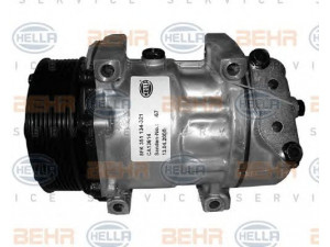 HELLA 8FK 351 134-321 kompresorius, oro kondicionierius 
 Oro kondicionavimas -> Kompresorius/dalys
1 376 998, 1 412 263, 1 888 034
