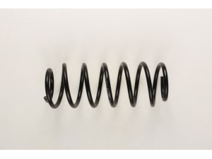 BILSTEIN 36-133062 spyruoklė 
 Pakaba -> Spyruoklės
8A0 411 105 E