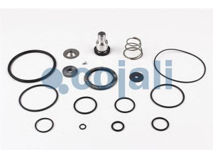 COJALI 6014186 remonto komplektas