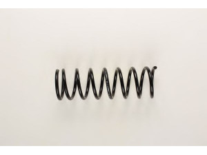 BILSTEIN 36-133352 spyruoklė 
 Pakaba -> Spyruoklės
84 AB 5310 DA