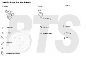 BTS Turbo T981501 kompresorius, įkrovimo sistema 
 Išmetimo sistema -> Turbokompresorius