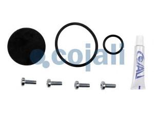 COJALI 6012257 remonto komplektas
