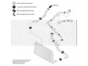 BORG & BECK BTH1153 kompresoriaus padavimo žarna 
 Išmetimo sistema -> Turbokompresorius
1K0145828F, 1K0145828F, 1K0145828F