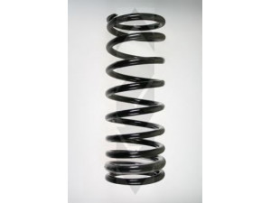 SPIDAN 56271 spyruoklė 
 Pakaba -> Spyruoklės
ANR1977, ANR3058