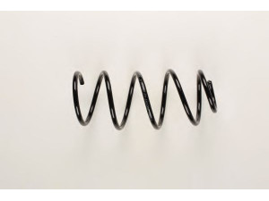 BILSTEIN 37-161262 spyruoklė 
 Pakaba -> Spyruoklės
31 33 6 767 370
