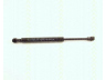 dujinė spyruoklė, bagažinė