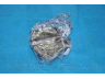 PARTS-MALL PXCMA-038AR1 variklio montavimas 
 Variklis -> Variklio montavimas -> Variklio montavimo rėmas
2181243001, 2181243200