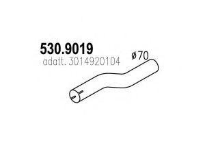 ASSO 530.9019 išleidimo kolektorius 
 Išmetimo sistema -> Išmetimo vamzdžiai
3014920104