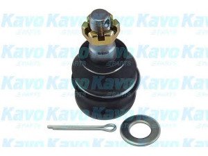 KAVO PARTS SBJ-8001 atramos/vairo trauklė 
 Ašies montavimas/vairavimo mechanizmas/ratai -> Sujungimai -> Atramos/vairo trauklė
20206AJ000, 21067GA050