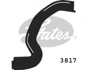 GATES 3817 radiatoriaus žarna 
 Aušinimo sistema -> Žarnelės/vamzdeliai/sujungimai -> Radiatoriaus žarnos
1343.X2, 1343X2, 1343.X2, 1343X2