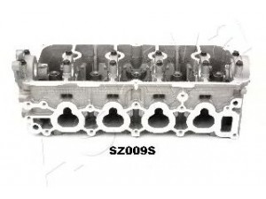 ASHIKA SZ009S cilindro galvutė 
 Variklis -> Cilindrų galvutė/dalys -> Cilindrų galvutė
1110052G01, 11110-82607