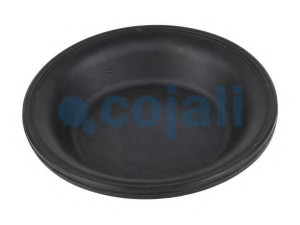 COJALI 6001103 membrana, spyruoklinis cilindras