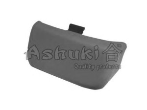 ASHUKI E925-10 stabdžių diskas
40206-00Q0D