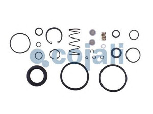 COJALI 6012024 remonto komplektas, greitinimo vožtuvas