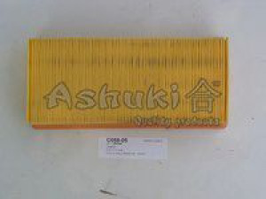 ASHUKI C058-05 oro filtras 
 Filtrai -> Oro filtras
06662803/MAHLE, 1 457 433 599/BOSCH