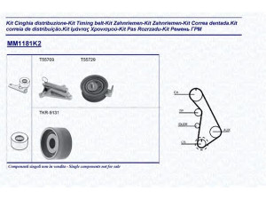 MAGNETI MARELLI 341311811102 paskirstymo diržo komplektas 
 Techninės priežiūros dalys -> Papildomas remontas