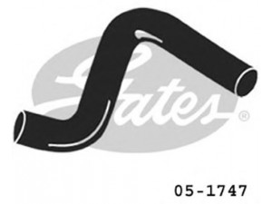 GATES 05-1747 radiatoriaus žarna
B30815185