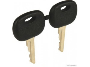 HERTH+BUSS ELPARTS 70567070052 raktas
3252408M91, 08199963, 8199963, 73450131010