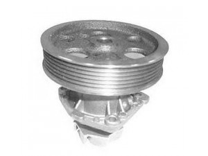 MAGNETI MARELLI 352316170320 vandens siurblys
46527473