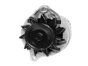 DRI 530113652 kintamosios srovės generatorius
