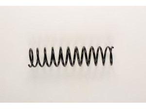 BILSTEIN 36-155095 spyruoklė 
 Pakaba -> Spyruoklės
531 511 105 A, 171 511 105 C