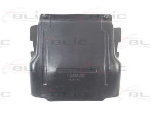 BLIC 6601-02-2515860P variklio dangtis 
 Variklis -> Variklio dangtis