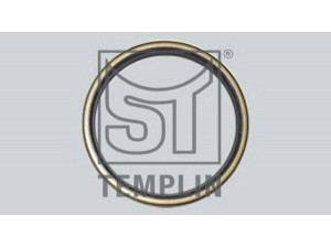 ST-TEMPLIN 11.060.1606.000 veleno alyvos sandariklis
06.56279.0076, 06.56279.0077, 06.56279.0273