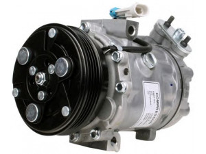 PowerMax 7010615 kompresorius, oro kondicionierius 
 Oro kondicionavimas -> Kompresorius/dalys
1854088, 1854103, 9174397, 93176857