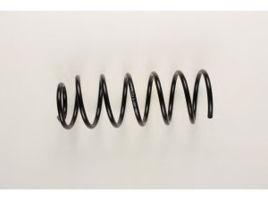 BILSTEIN 36-130801 spyruoklė 
 Pakaba -> Spyruoklės
357 411 105