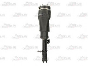 Magnum Technology APL004MT amortizatorius 
 Pakaba -> Amortizatorius
RNB000740
