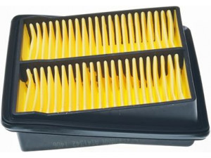 DENCKERMANN A141342 oro filtras 
 Filtrai -> Oro filtras
17220-PWA-J10