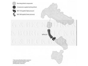 BORG & BECK BTH1227 kompresoriaus padavimo žarna 
 Išmetimo sistema -> Turbokompresorius
143415, 143415, 1434.15