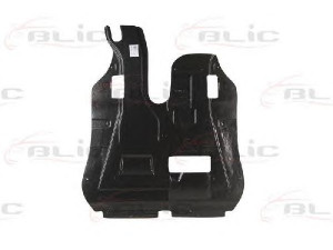 BLIC 6601-02-2555861P variklio dangtis 
 Variklis -> Variklio dangtis
1 152 869, 1152869