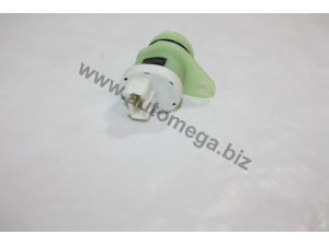 AUTOMEGA 306160070 jutiklis, greitis
616070, 616070