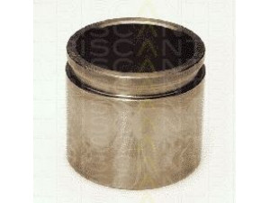 TRISCAN 8170 235117 stūmoklis, stabdžių apkaba