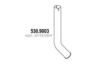 ASSO 530.9003 išleidimo kolektorius
3874920804