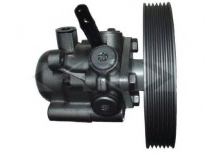 SPIDAN 53542 hidraulinis siurblys, vairo sistema 
 Vairavimas -> Vairo pavara/siurblys
4007.S5, 9629131180