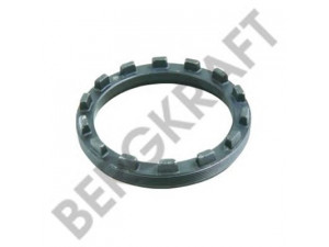 BERGKRAFT BK9001038 diskas, diferencialas
81351250006