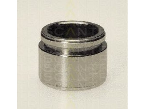 TRISCAN 8170 234210 stūmoklis, stabdžių apkaba