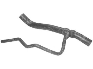 FARE SA 8928 radiatoriaus žarna 
 Aušinimo sistema -> Žarnelės/vamzdeliai/sujungimai -> Radiatoriaus žarnos
7700428134