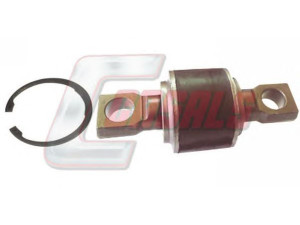 CASALS R5289 remonto komplektas, trauklė 
 Ašies montavimas/vairavimo mechanizmas/ratai -> Valdymo svirtis/pasukamosios svirties sujungimas -> Vairo trauklės (valdymo svirtis, išilginis balansyras, diago
0003502205
