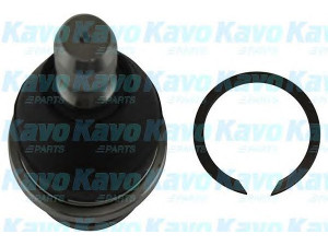 KAVO PARTS SBJ-6550 atramos/vairo trauklė 
 Ašies montavimas/vairavimo mechanizmas/ratai -> Sujungimai -> Atramos/vairo trauklė
40160EB300, 40160EB30C, 40160EB31A