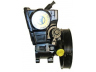 LIZARTE 04.05.0412-1 hidraulinis siurblys, vairo sistema 
 Vairavimas -> Vairo pavara/siurblys
52088663