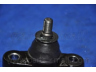 PARTS-MALL PXCJA-020 atramos/vairo trauklė
517602H000